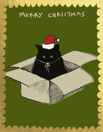 'Cat in a box!' Greetings Card