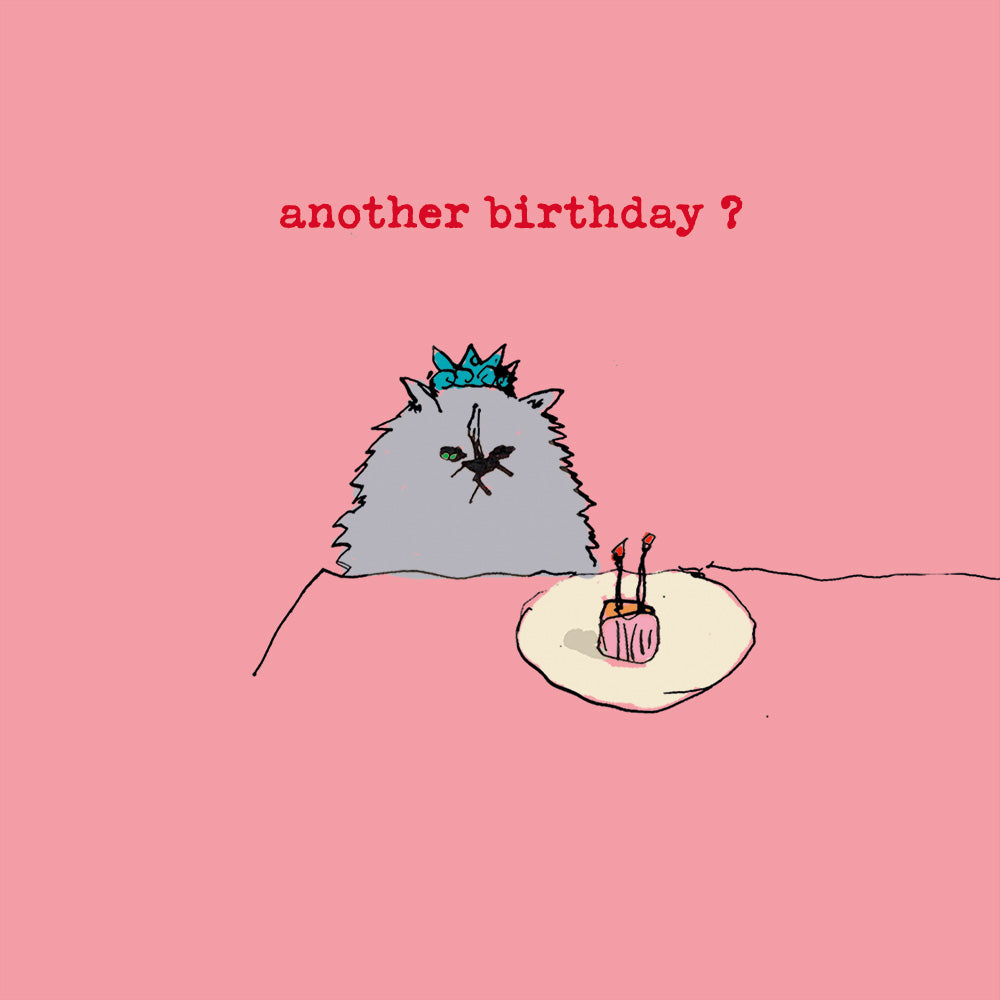 ' Another Birthday Cat ' Greetings Card