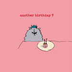 ' Another Birthday Cat ' Greetings Card