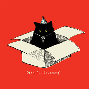 ' Special Delivery Cat ' Greetings Card