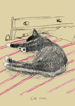 Cat Nap postcard, FP786