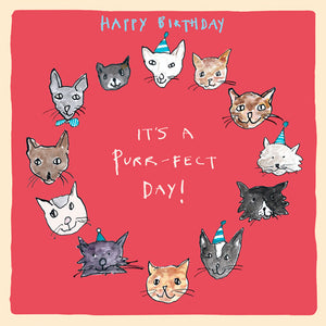 ‘Purr-fect Day’ Birthday Card, Studio