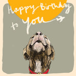 ‘Birthday Plane Dog' Birthday Card, Studio