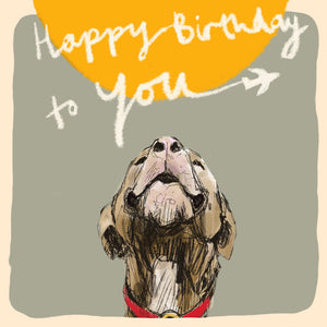 
                
                    Load image into Gallery viewer, ‘Birthday Plane Dog&amp;#39; Birthday Card, Studio
                
            